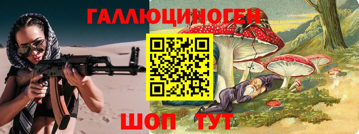 Галлюциногенные грибы Psilocybe Керчь